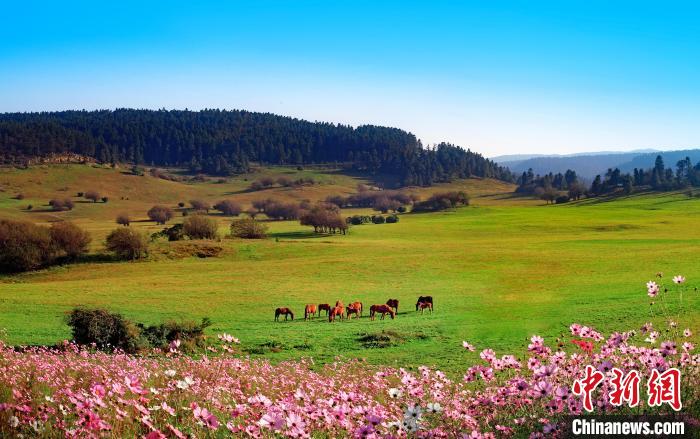 第19届中国国际山地户外运动公开赛将在重庆武隆